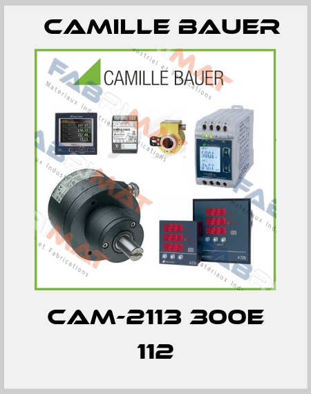 CAM-2113 300E 112 Camille Bauer