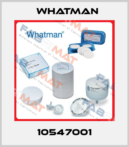 10547001 Whatman