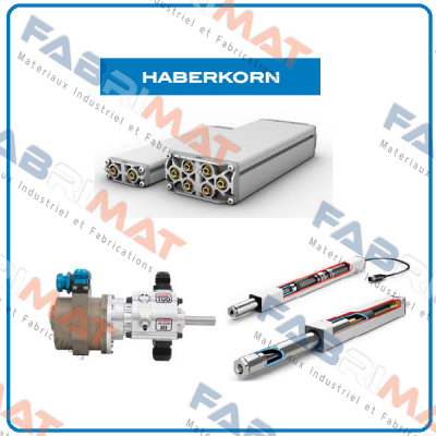 T31025 Haberkorn