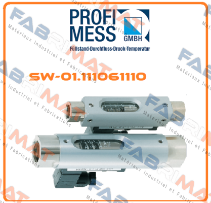 SW-01.111061110 Profimess