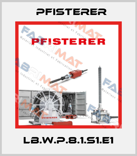 LB.W.P.8.1.S1.E1 Pfisterer