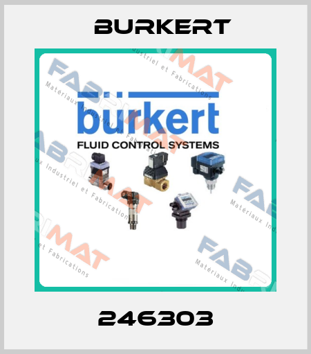 246303 Burkert