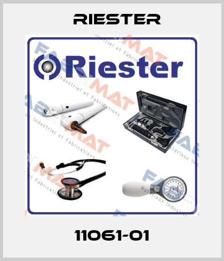 11061-01 Riester
