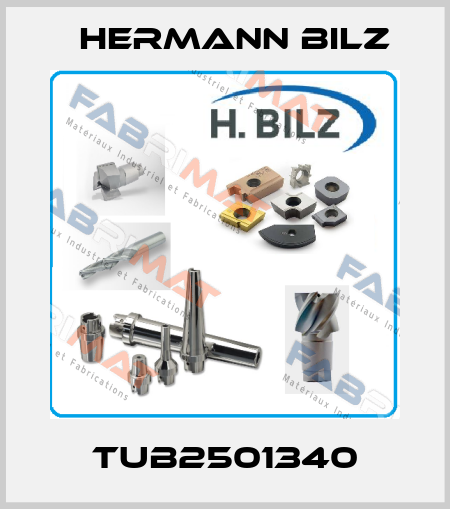 TUB2501340 Hermann Bilz