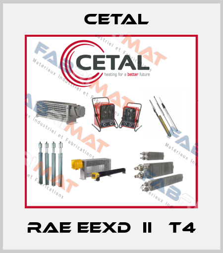 RAE EExd  IIС T4 Cetal