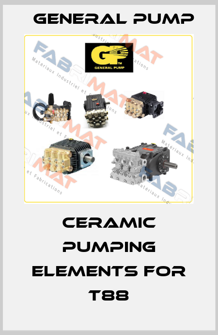 Ceramic pumping elements for T88 General Pump