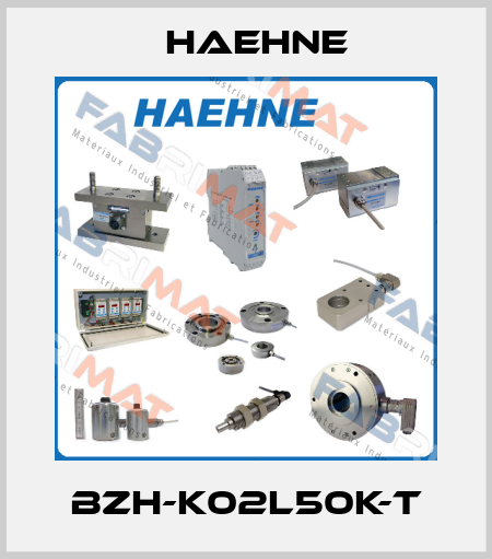 BZH-K02L50k-T HAEHNE