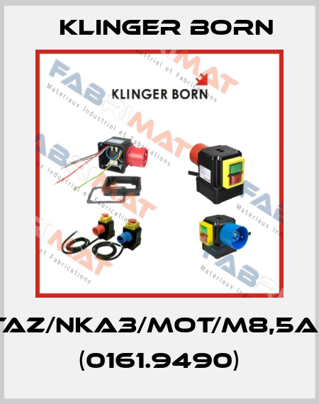 K900/TAZ/NKA3/Mot/M8,5A/KL-v.P (0161.9490) Klinger Born
