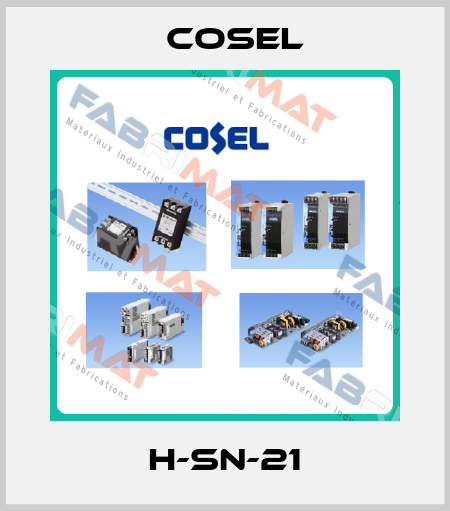 H-SN-21 Cosel