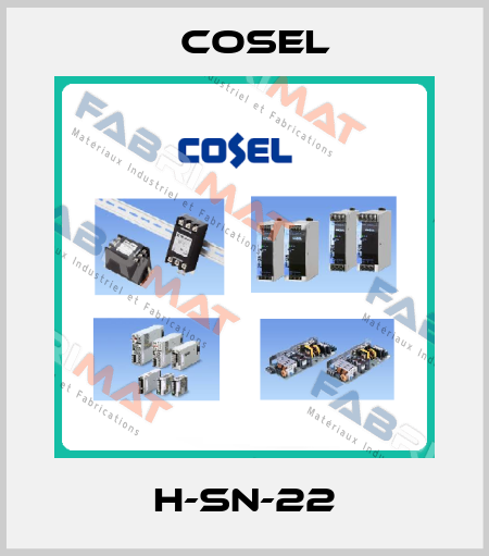 H-SN-22 Cosel