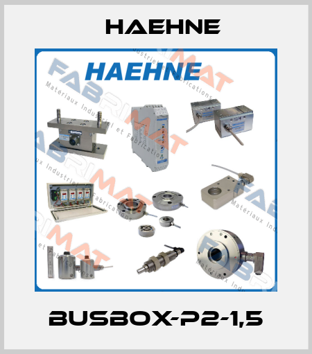 Busbox-P2-1,5 HAEHNE