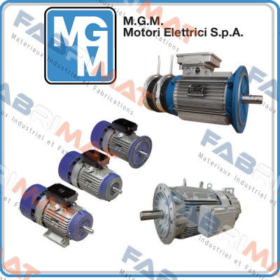 BA 160 LA4 (BA160LA4-B5-400/690V) M.G.M MOTORI