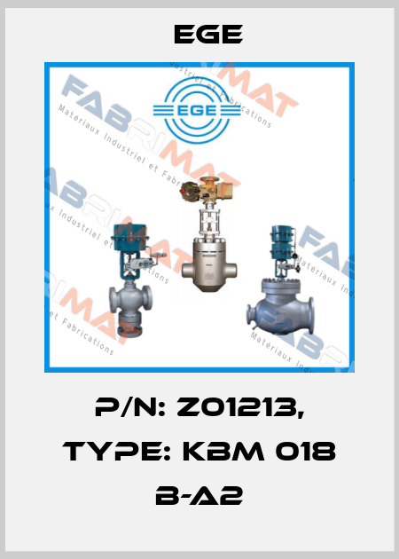 p/n: Z01213, Type: KBM 018 B-A2 Ege