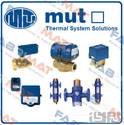 7.004.00073    SFS 105 M1 G 1/4" IP 40 Mut Meccanica Tovo SpA