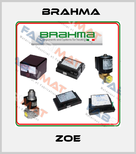 ZOE Brahma
