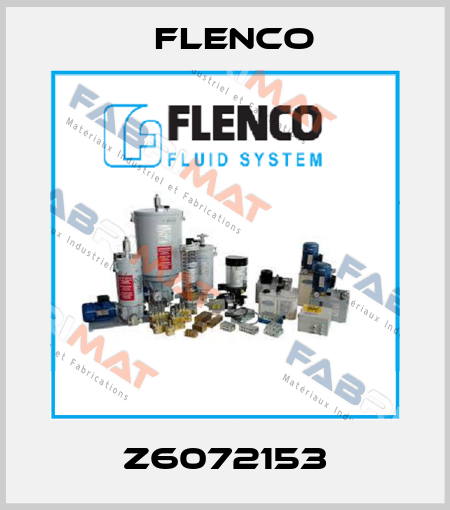 Z6072153 Flenco
