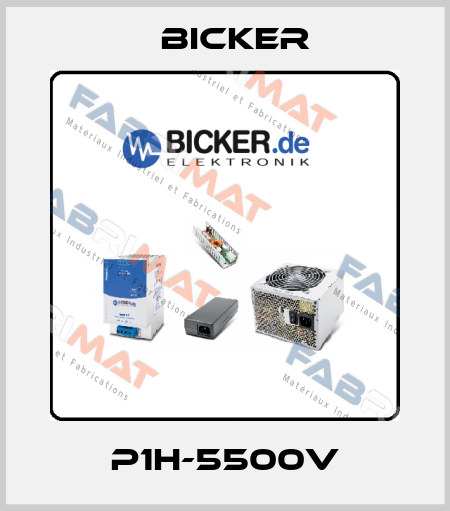 P1H-5500V Bicker