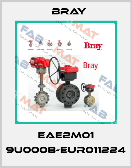 EAE2M01 9U0008-EUR011224 Bray
