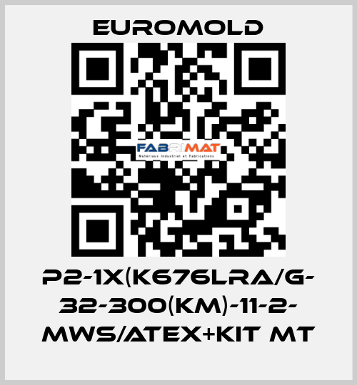 P2-1x(K676LRA/G- 32-300(KM)-11-2- MWS/ATEX+KIT MT EUROMOLD