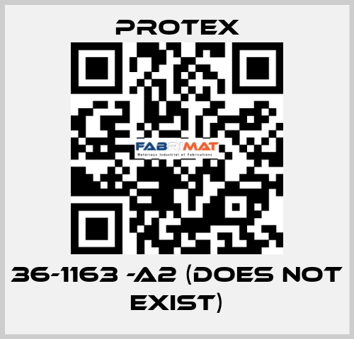 36-1163 -A2 (DOES NOT EXIST) Protex