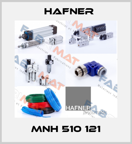 MNH 510 121 Hafner