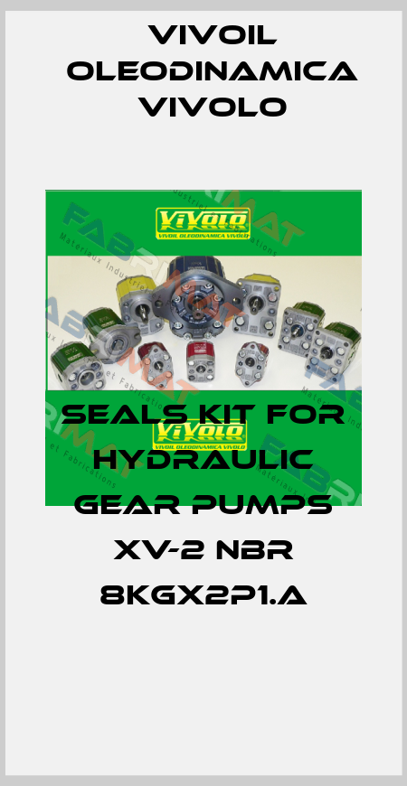 Seals kit for hydraulic gear pumps XV-2 NBR 8KGX2P1.A Vivoil Oleodinamica Vivolo