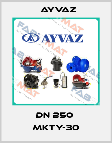 DN 250  MKTY-30 Ayvaz