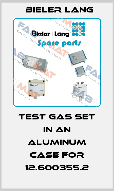 Test gas set in an aluminum case for 12.600355.2 Bieler Lang