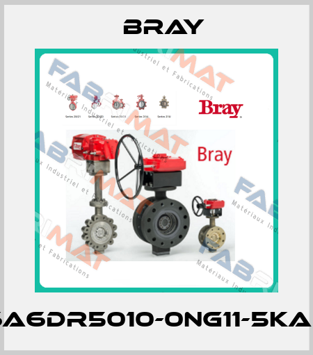 6A6DR5010-0NG11-5KA0 Bray