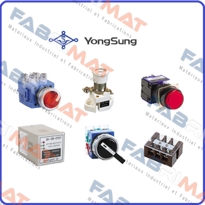 YSFT100-03SF YongSung Electric