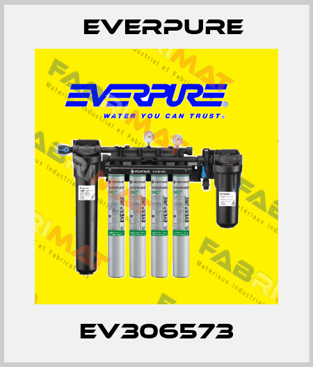EV306573 Everpure