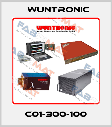 C01-300-100 Wuntronic