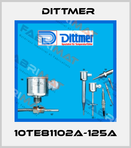 10TE81102A-125A Dittmer