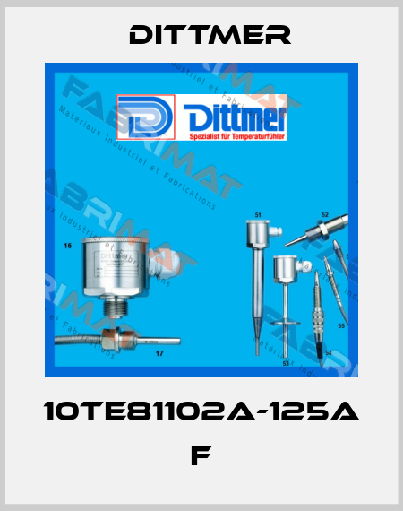 10TE81102A-125A F Dittmer
