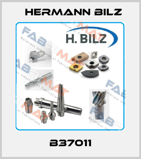 B37011 Hermann Bilz