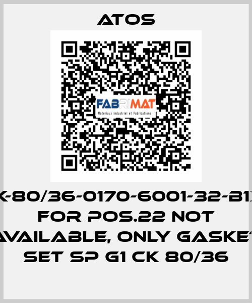 CK-80/36-0170-6001-32-B1X1 for Pos.22 not available, only gasket set SP G1 CK 80/36 Atos