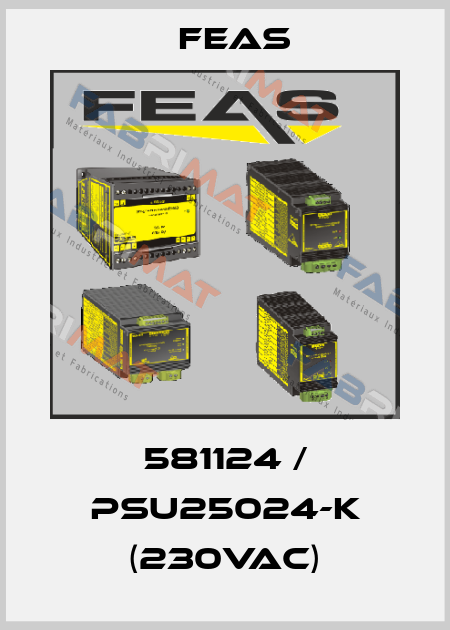 581124 / PSU25024-K (230VAC) Feas