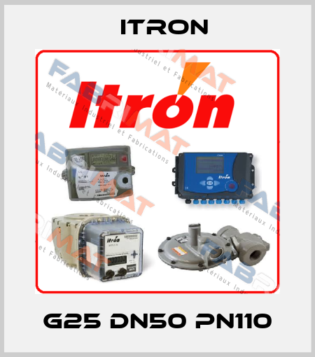 G25 DN50 PN110 Itron