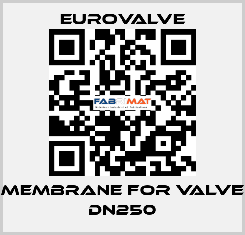 membrane for valve DN250 Eurovalve