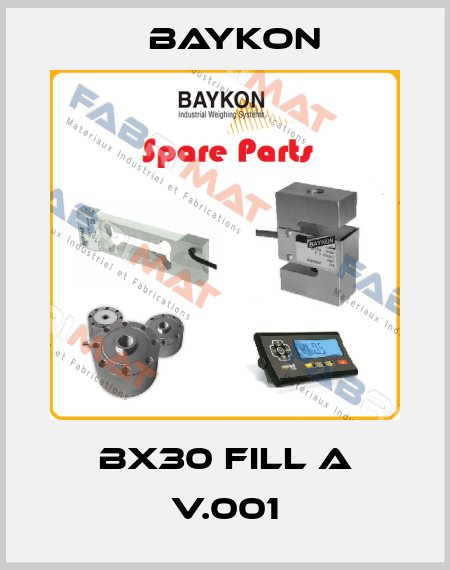 BX30 FILL A V.001 Baykon