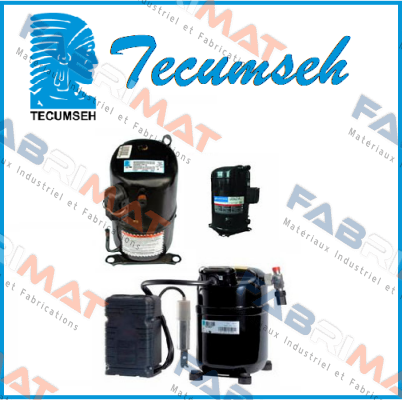 RK5480Y Tecumseh