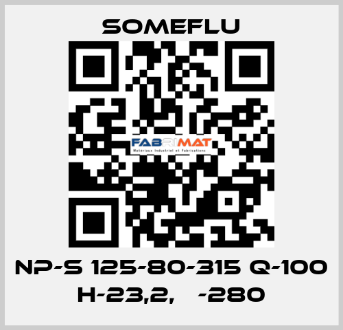 NP-S 125-80-315 Q-100 H-23,2, Ф-280 SOMEFLU
