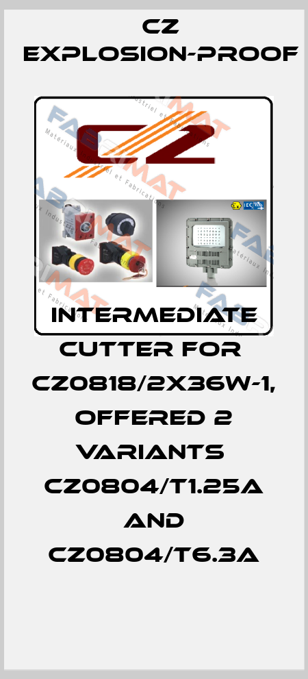 intermediate cutter for  CZ0818/2X36W-1, offered 2 variants  CZ0804/T1.25A and CZ0804/T6.3A CZ Explosion-proof