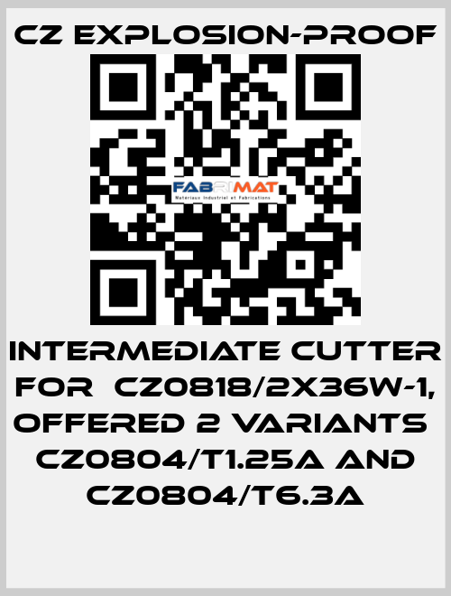 intermediate cutter for  CZ0818/2X36W-1, offered 2 variants  CZ0804/T1.25A and CZ0804/T6.3A CZ Explosion-proof