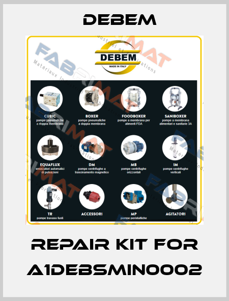 Repair kit for A1DEBSMIN0002 Debem