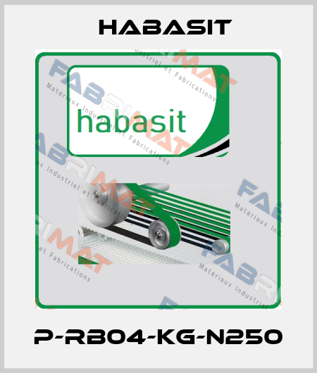 P-RB04-KG-N250 Habasit