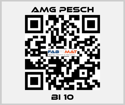 BI 10 AMG Pesch