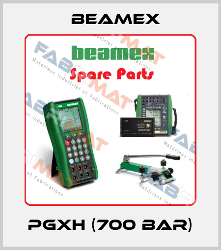 PGXH (700 bar) Beamex