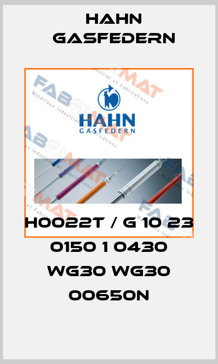H0022T / G 10 23 0150 1 0430 WG30 WG30 00650N Hahn Gasfedern