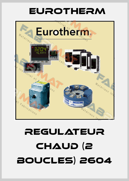 REGULATEUR CHAUD (2 BOUCLES) 2604 Eurotherm
